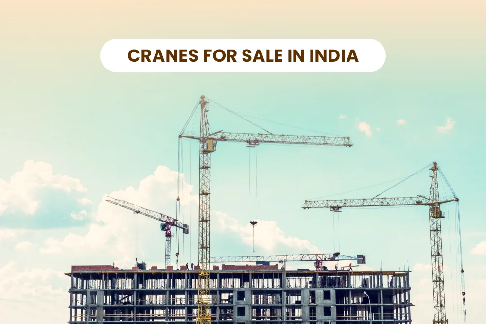 Types prices buying guide